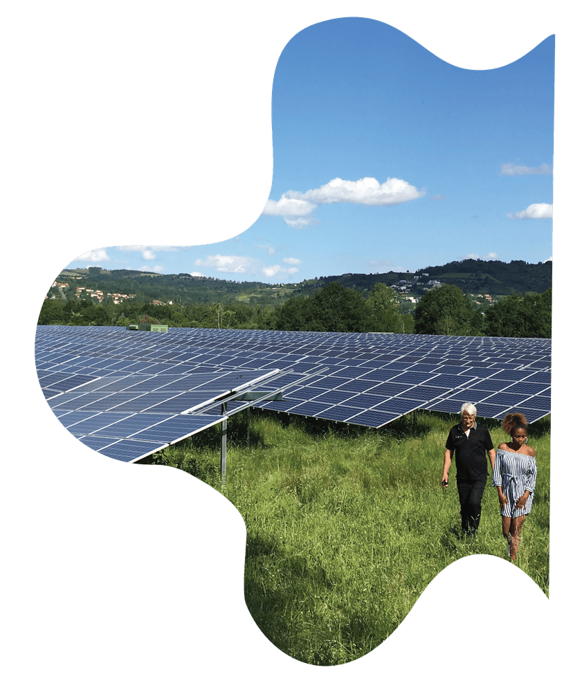 Photo d'un panneau solaire à coté d'un troupeau de brebis